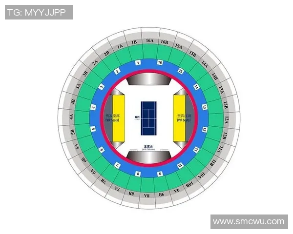北京网球队实力解析：聚焦青少年培养与国际赛事表现